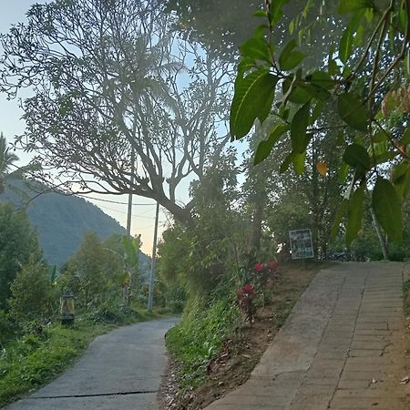 Jepun Homestay Lemukih Singaraja  Bagian luar foto