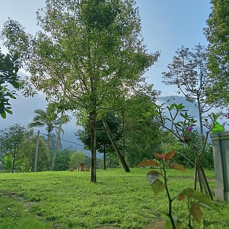Jepun Homestay Lemukih Singaraja  Bagian luar foto