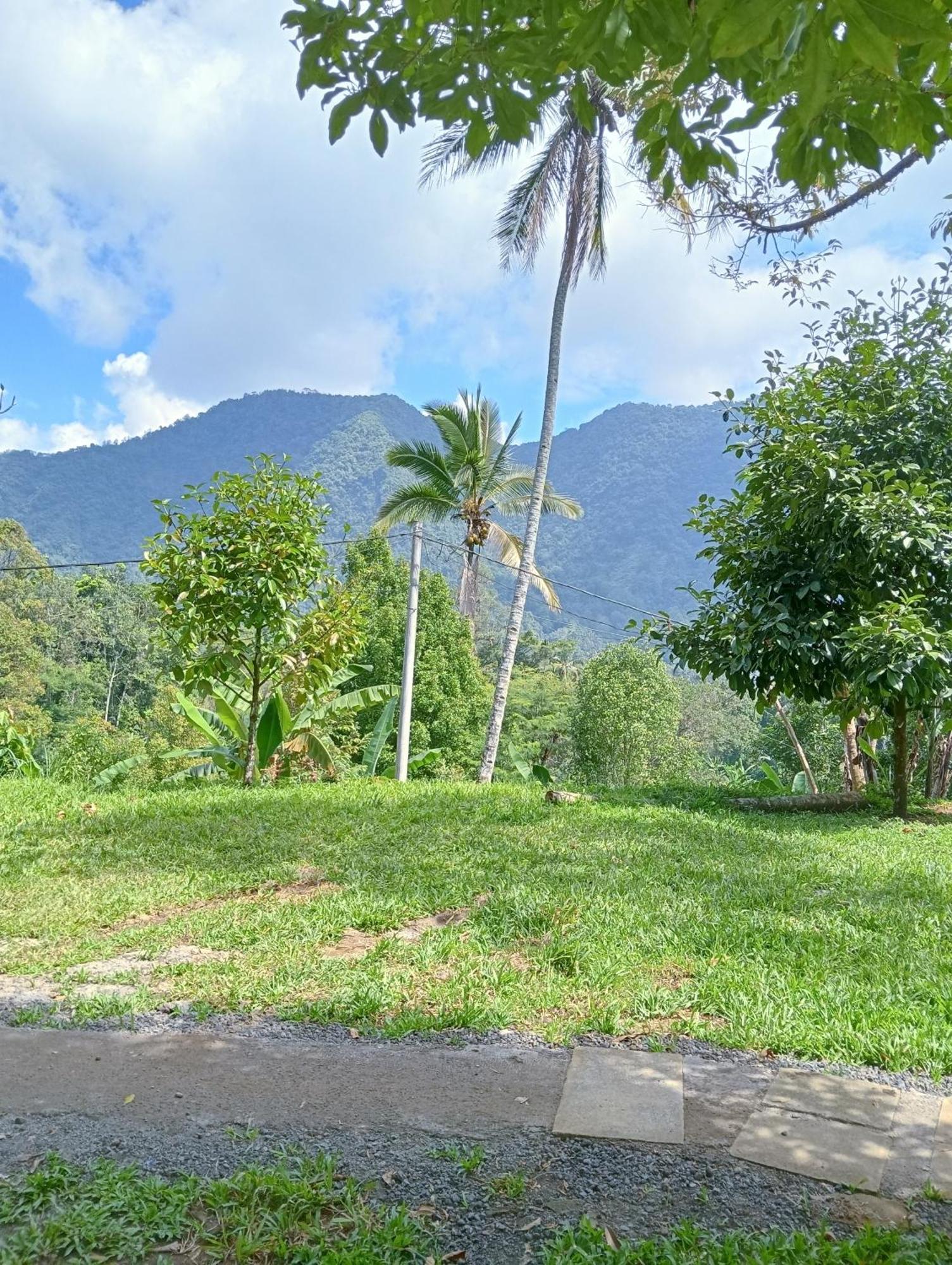 Jepun Homestay Lemukih Singaraja  Bagian luar foto