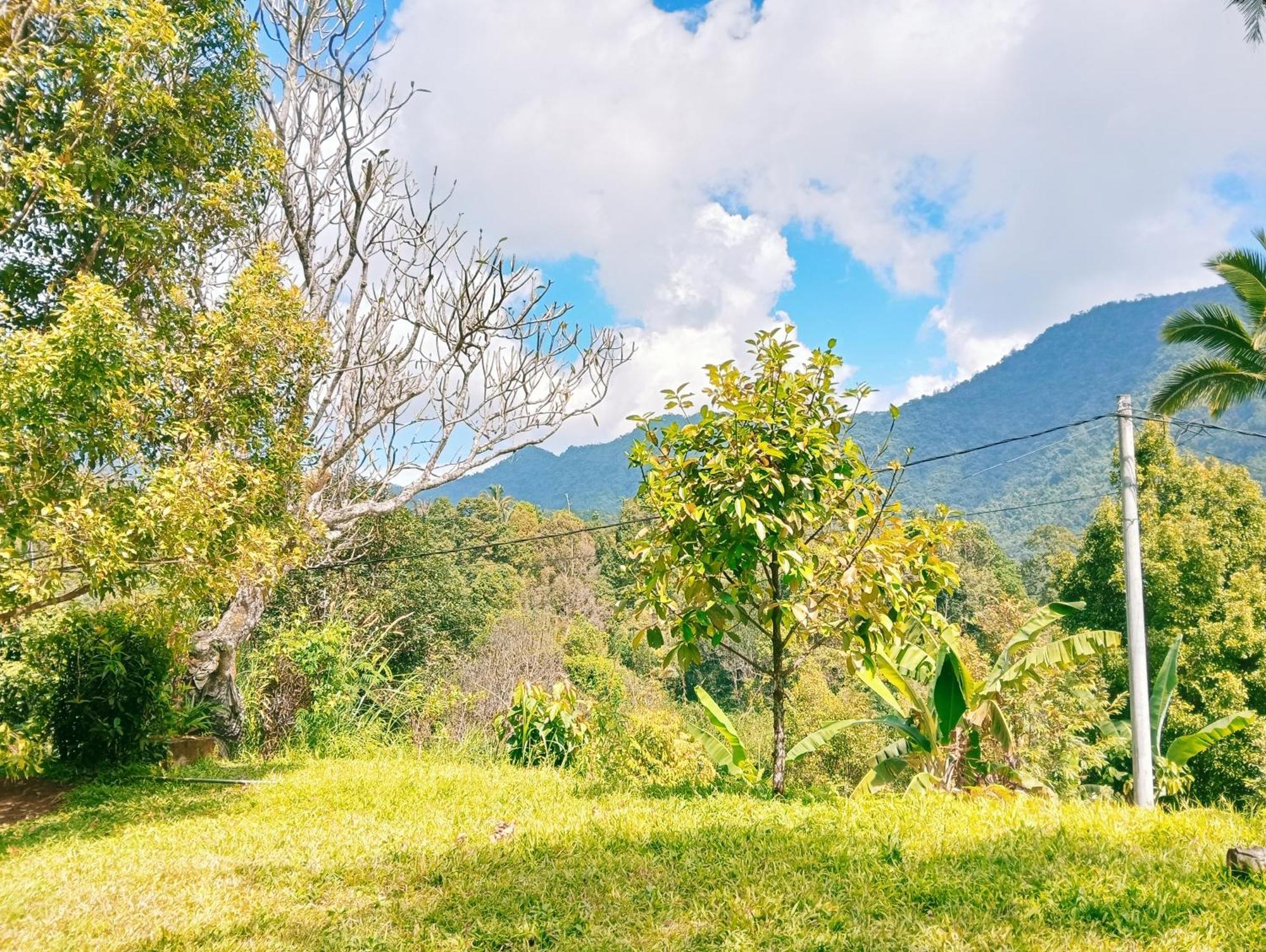 Jepun Homestay Lemukih Singaraja  Bagian luar foto