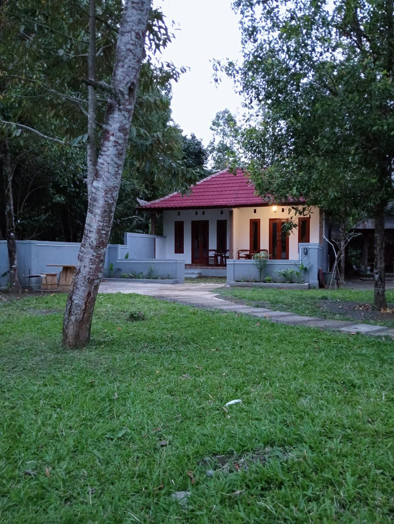 Jepun Homestay Lemukih Singaraja  Bagian luar foto