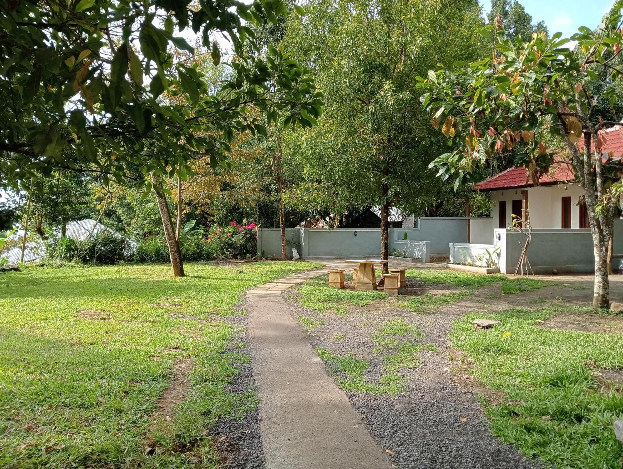 Jepun Homestay Lemukih Singaraja  Bagian luar foto