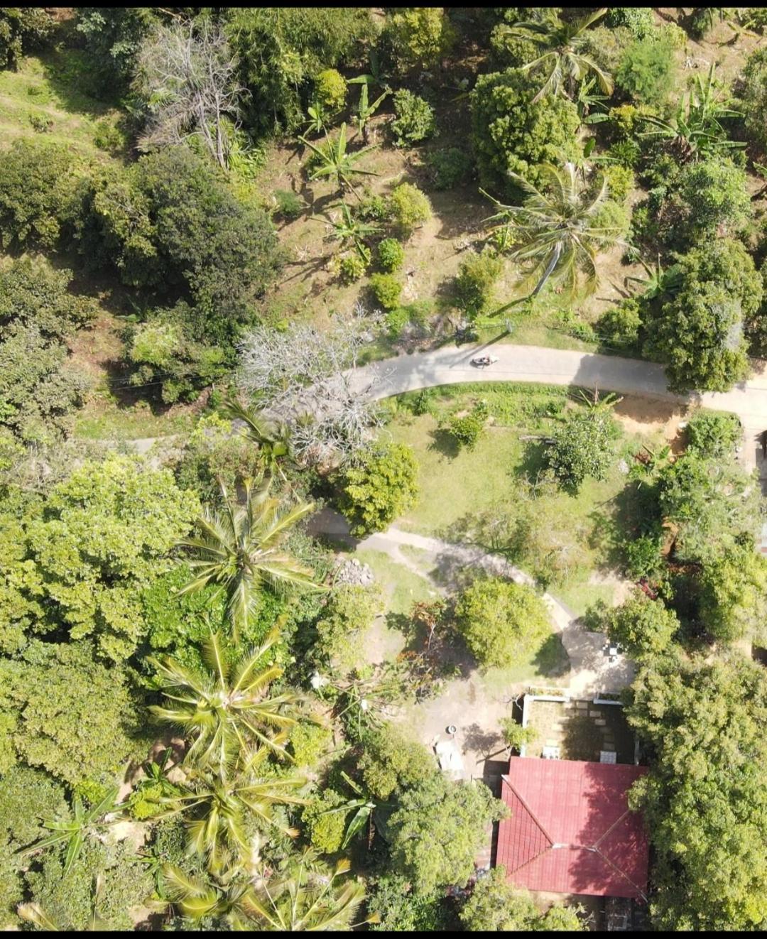 Jepun Homestay Lemukih Singaraja  Bagian luar foto