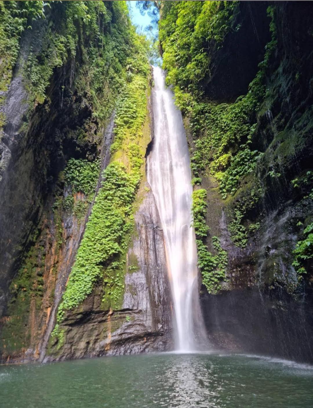 Jepun Homestay Lemukih Singaraja  Bagian luar foto