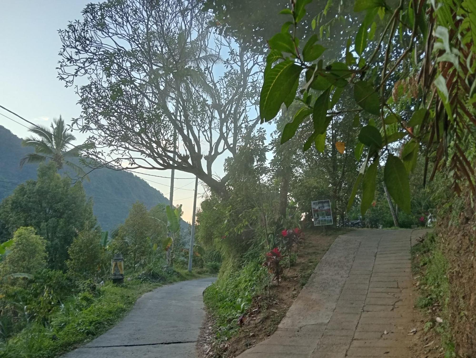 Jepun Homestay Lemukih Singaraja  Bagian luar foto